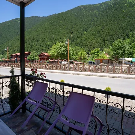 Apart Otel Aydın